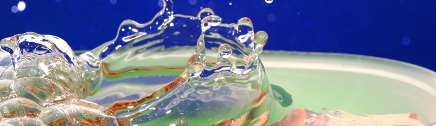 Random header image... Refresh for more!