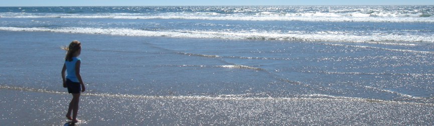 Random header image... Refresh for more!