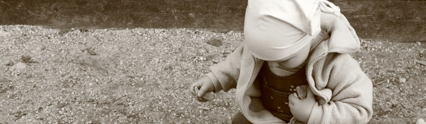Random header image... Refresh for more!