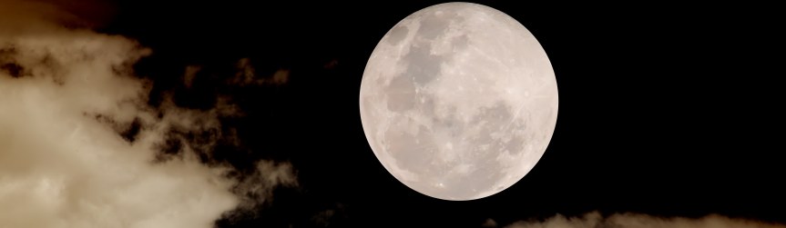 Random header image... Refresh for more!