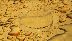 Water Drop Water Drop