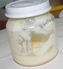yoghurt