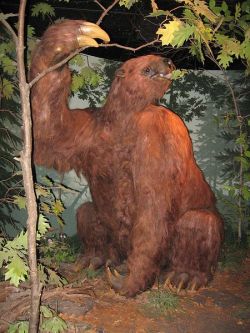 Giant ground sloth Giant ground sloth