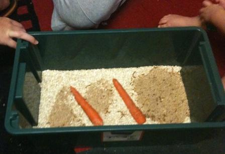 Mealworm farm