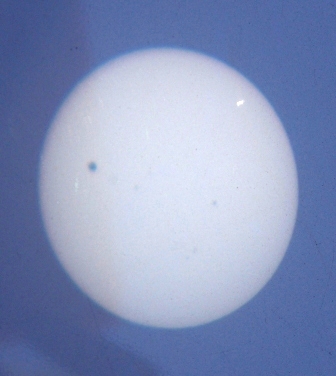 Venus in transit