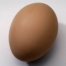 Thumbnail image for Anatomy of an Egg