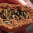 Thumbnail image for Wordless Wednesday – Wasp Nest