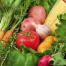 Thumbnail image for Is a Vegetarian diet healthier?