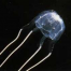 Thumbnail image for Box Jellyfish
