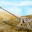 Thumbnail image for Quiz – The Dinosaur Edition